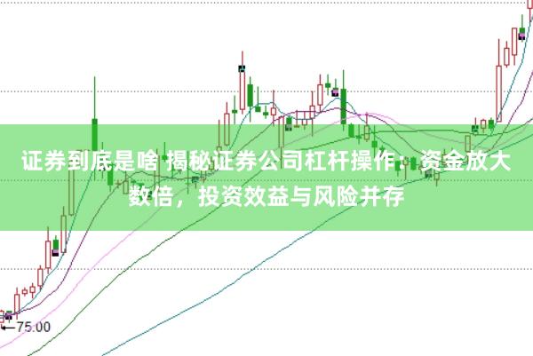 证券到底是啥 揭秘证券公司杠杆操作：资金放大数倍，投资效益与风险并存
