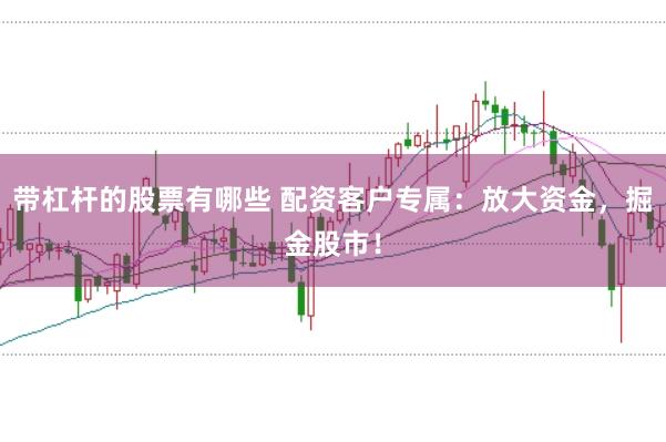 带杠杆的股票有哪些 配资客户专属：放大资金，掘金股市！