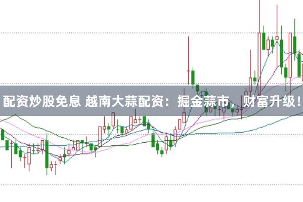 配资炒股免息 越南大蒜配资：掘金蒜市，财富升级！