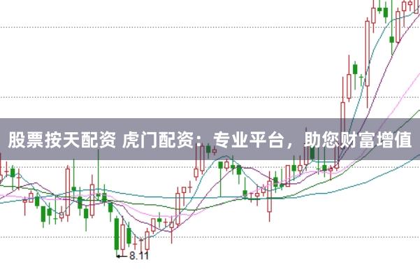 股票按天配资 虎门配资：专业平台，助您财富增值