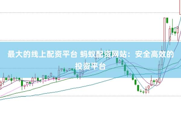 最大的线上配资平台 蚂蚁配资网站：安全高效的投资平台