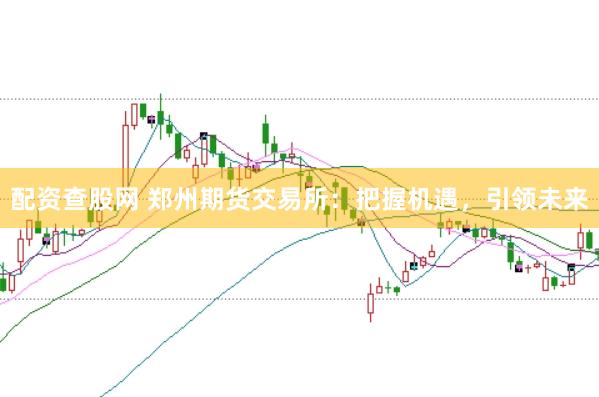 配资查股网 郑州期货交易所：把握机遇，引领未来