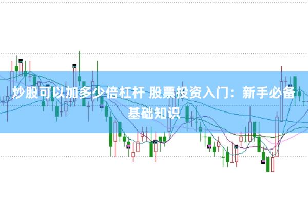 炒股可以加多少倍杠杆 股票投资入门：新手必备基础知识