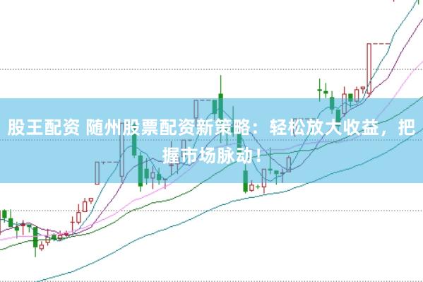 股王配资 随州股票配资新策略：轻松放大收益，把握市场脉动！