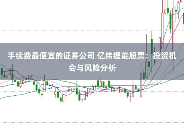 手续费最便宜的证券公司 亿纬锂能股票：投资机会与风险分析
