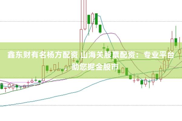 鑫东财有名杨方配资 山海关股票配资：专业平台，助您掘金股市