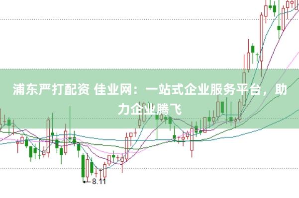 浦东严打配资 佳业网：一站式企业服务平台，助力企业腾飞