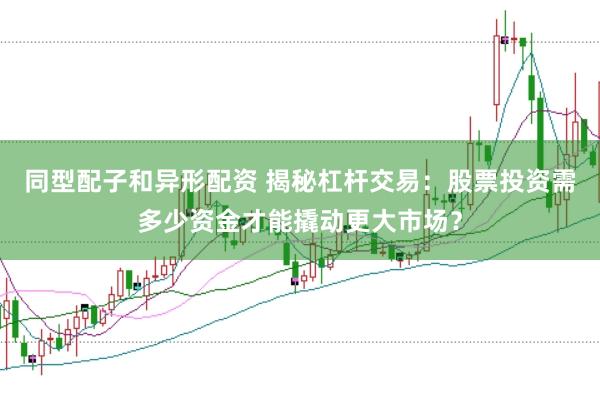 同型配子和异形配资 揭秘杠杆交易：股票投资需多少资金才能撬动更大市场？