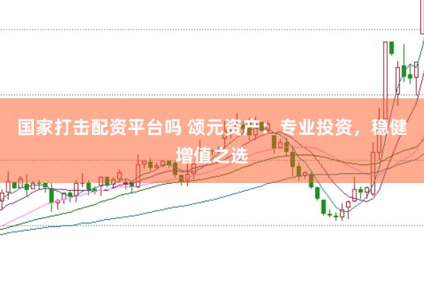 国家打击配资平台吗 颂元资产：专业投资，稳健增值之选