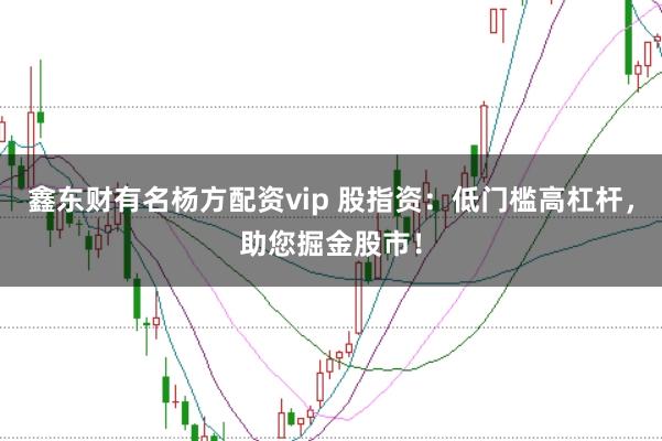 鑫东财有名杨方配资vip 股指资：低门槛高杠杆，助您掘金股市！