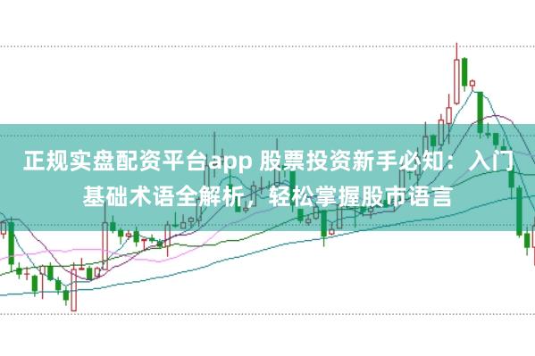 正规实盘配资平台app 股票投资新手必知：入门基础术语全解析，轻松掌握股市语言