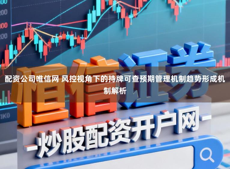 配资公司唯信网 风控视角下的持牌可查预期管理机制趋势形成机制解析