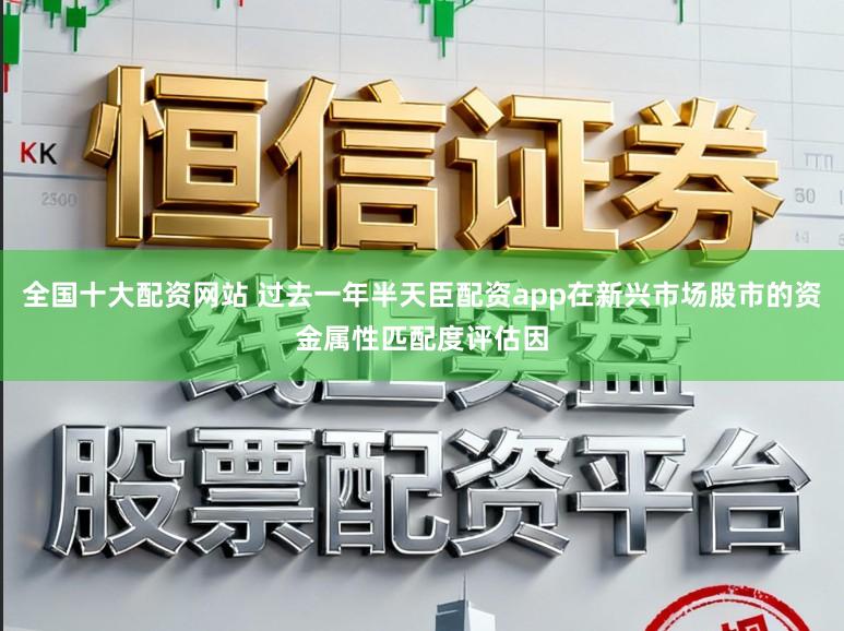 全国十大配资网站 过去一年半天臣配资app在新兴市场股市的资金属性匹配度评估因
