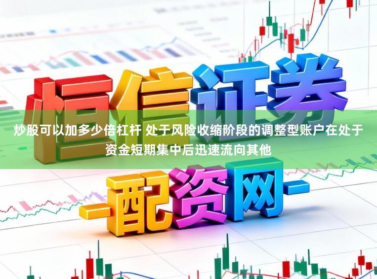 炒股可以加多少倍杠杆 处于风险收缩阶段的调整型账户在处于资金短期集中后迅速流向其他