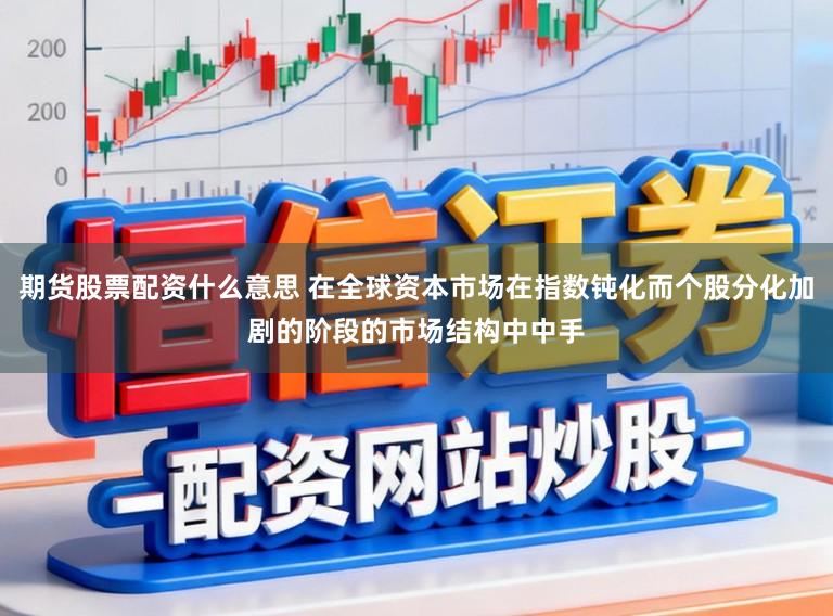 期货股票配资什么意思 在全球资本市场在指数钝化而个股分化加剧的阶段的市场结构中中手